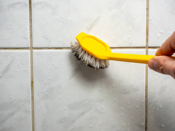 Best Emergency Mold Remediation in Mukwonago, WI